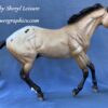 Stock Horse Buckskin Appaloosa - Image 2