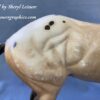 Stock Horse Buckskin Appaloosa - Image 4