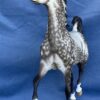 Custom Resin Arabian Stallion Dapple Grey - Image 4