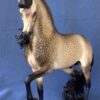Custom Breyer Lusitano Buckskin - Image 6
