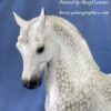 Custom Breyer Andalusian Dapple Grey - Image 3