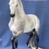 Custom Breyer Andalusian Dapple Grey - Image 4