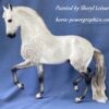 Custom Breyer Andalusian Dapple Grey - Image 2