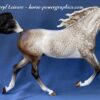Custom Breyer Shagya Arabian Dapple Grey - Image 2