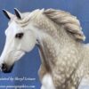 Custom Breyer Shagya Arabian Dapple Grey - Image 3