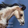 Custom Breyer Appaloosa Australian Stock Horse - Image 3