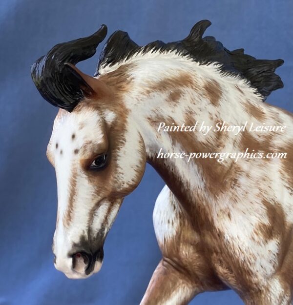 Custom Breyer Appaloosa Australian Stock Horse