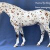 Custom Breyer Appaloosa Warmblood - Image 2