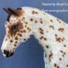 Custom Breyer Appaloosa Warmblood - Image 3