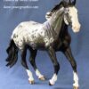 Custom Breyer Stock Horse Black Appaloosa - Image 6