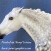 Custom Breyer Thoroughbred Dapple Grey - Image 4