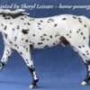 Custom Breyer Appaloosa Stock Horse - Image 3