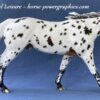 Custom Breyer Appaloosa Stock Horse - Image 4
