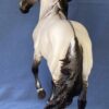 Custom Resin Kiger Mustang Grullo - Image 5