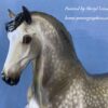 Custom Resin Spanish PRE Stallion Dapple Grey -SOLD - Image 5