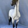 Custom Breyer *NEW* "Cosimo" Murgese Horse Blue Roan - Image 5