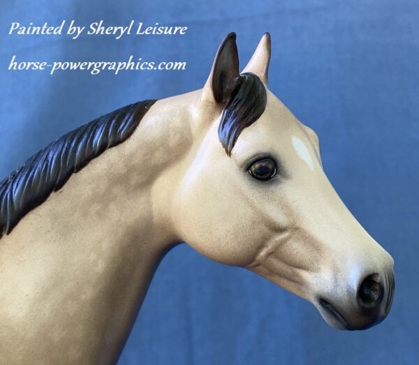 Custom Stone Ideal Stock Horse Horse Buckskin
