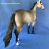 Custom Stone Ideal Stock Horse Horse Buckskin - Image 4