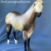 Custom Stone Ideal Stock Horse Horse Buckskin - Image 2